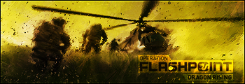 Operation Flashpoint: Dragon Rising - OFP: DR [Фан-арт]